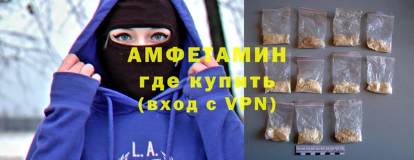 сатива Аркадак