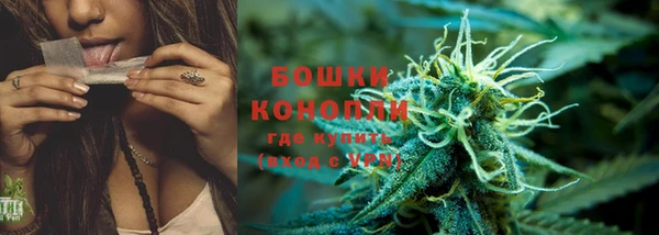 сатива Аркадак