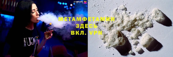 сатива Аркадак