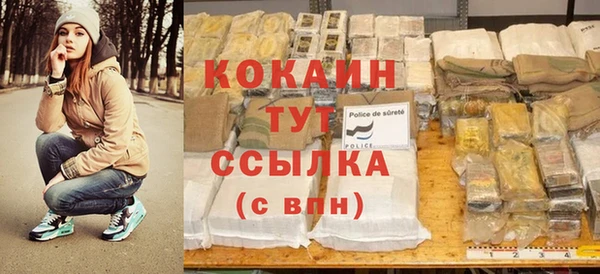 сатива Аркадак