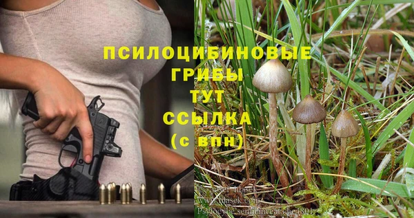 гидропоника Арсеньев