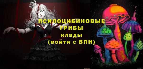 гашик Мегион