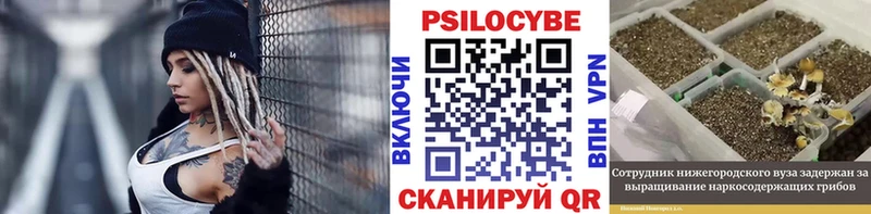 Псилоцибиновые грибы мухоморы  Купить где  Буй 